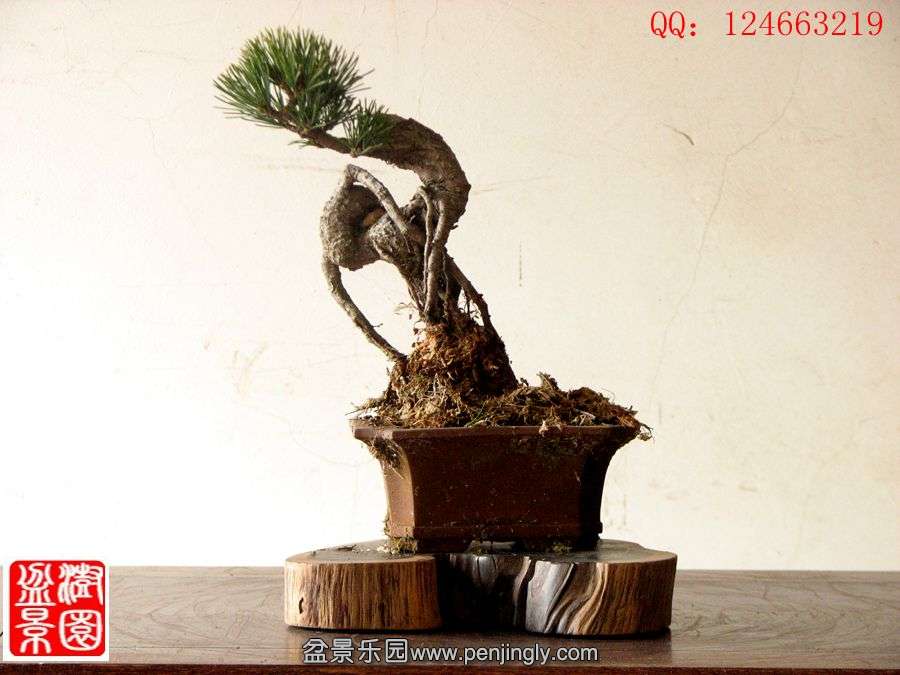 IMG_1030__.jpg