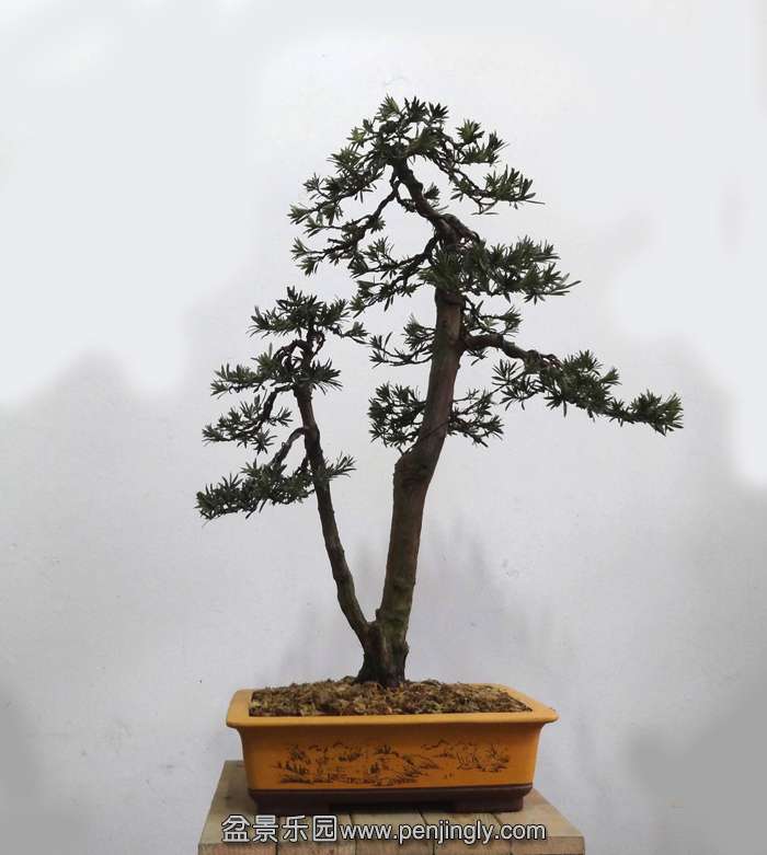 a0.jpg