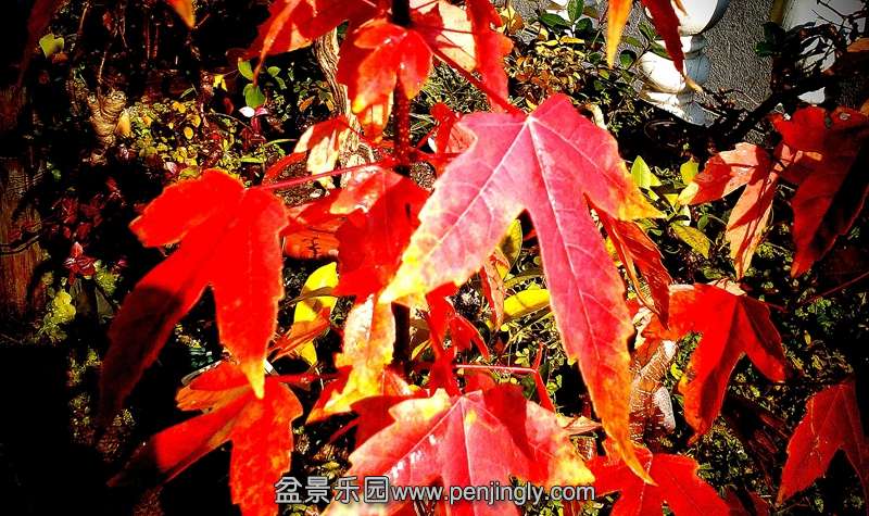 IMG_20141118_133122.JPG