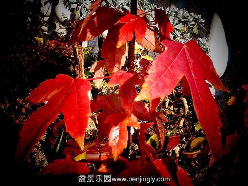 IMG_20141118_133232.JPG