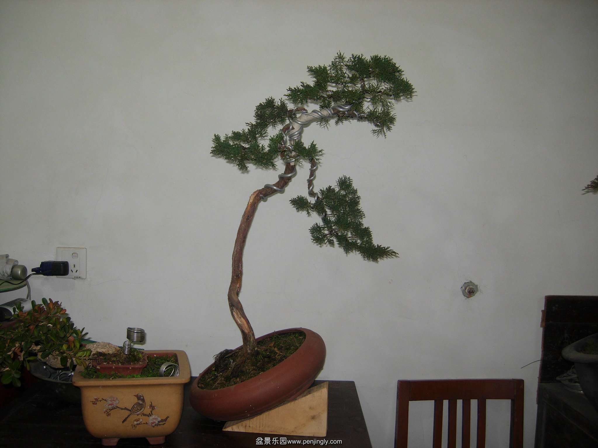 DSCN7719.JPG