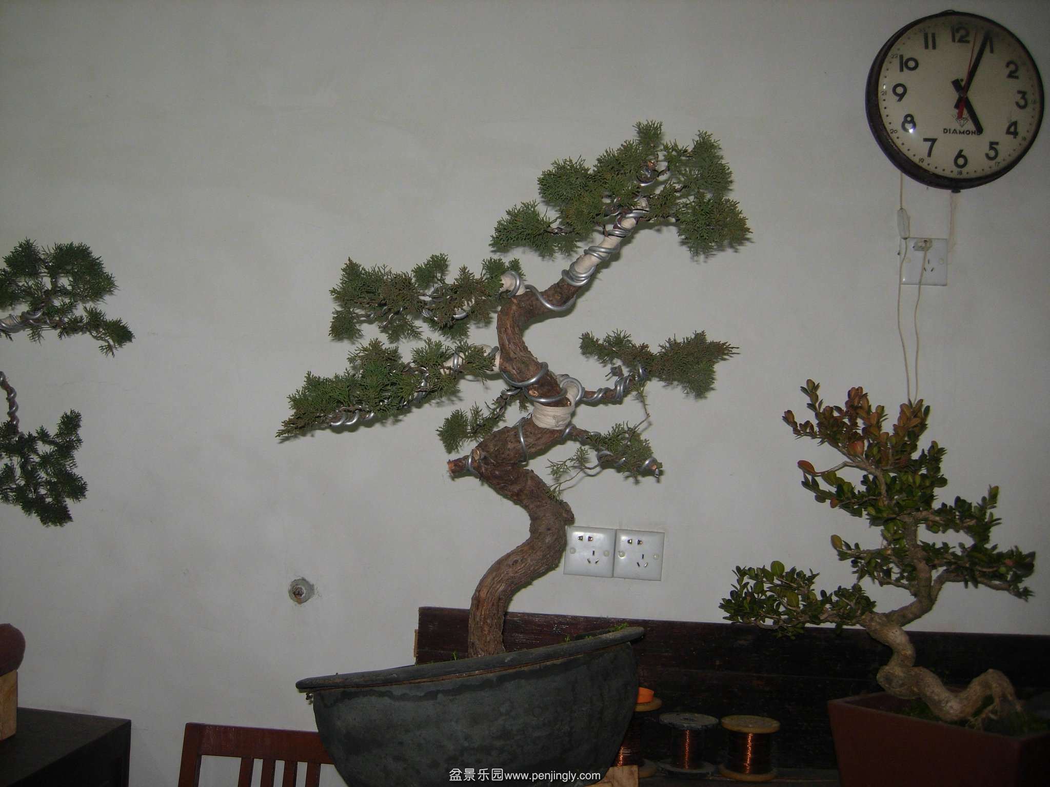 DSCN7723.JPG