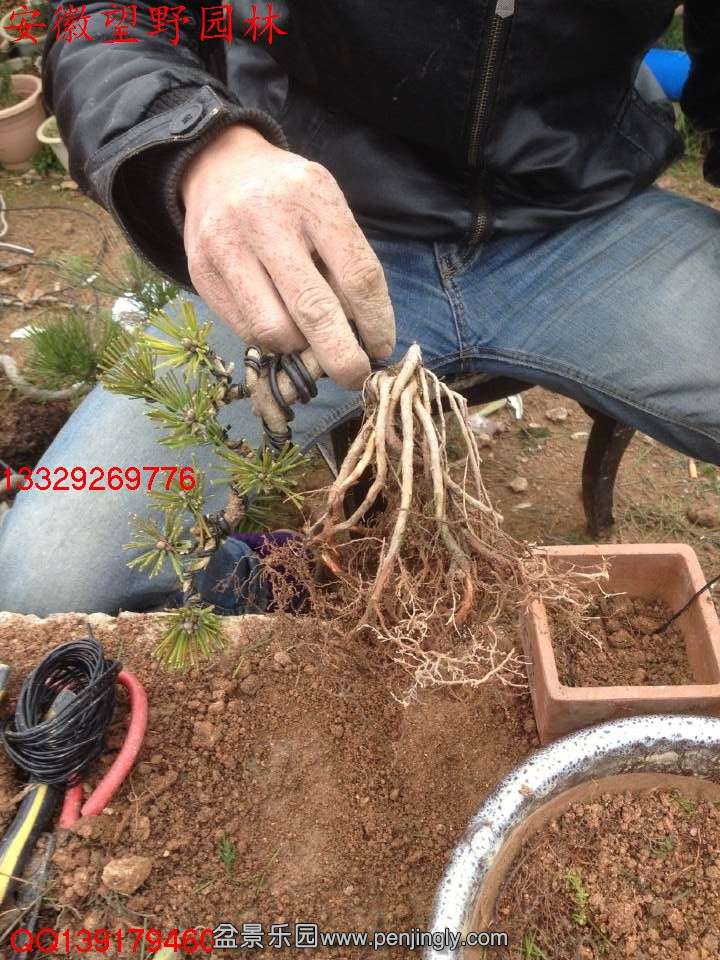 B25CABEA8C7F303CA3014D571A6C441A.jpg