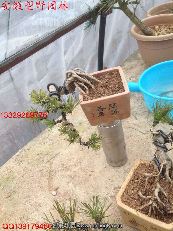 A05FD634D9352EB5459329017B69E025.jpg