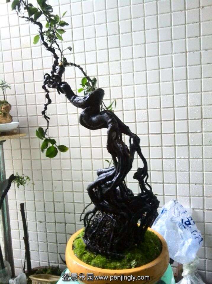 Һ  