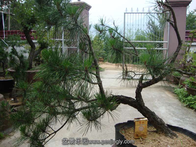 DSC01199_.jpg