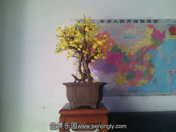 IMG_20150118_114217_编辑.jpg