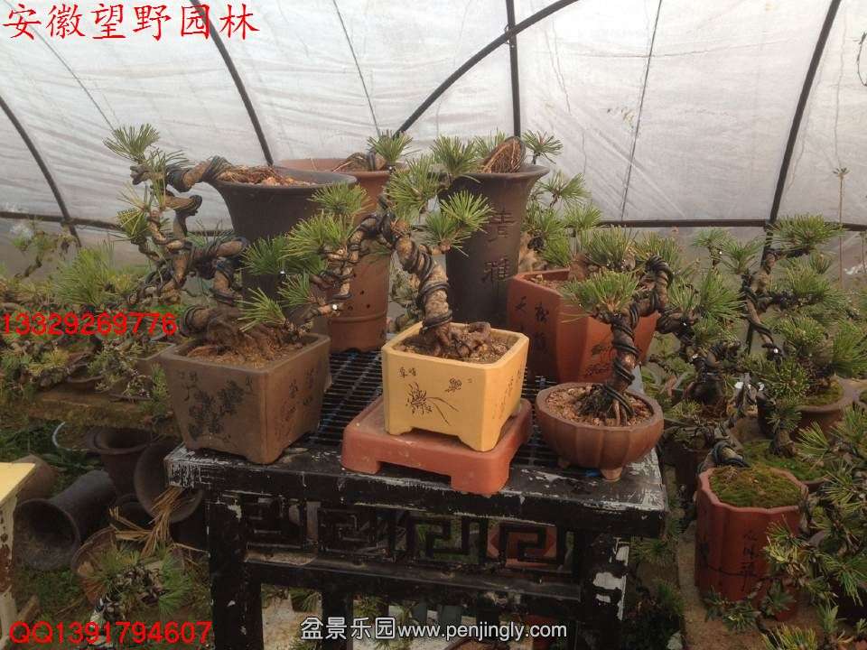 A80AB3BA6A7026D4AAD2D2593E89EAC4.jpg