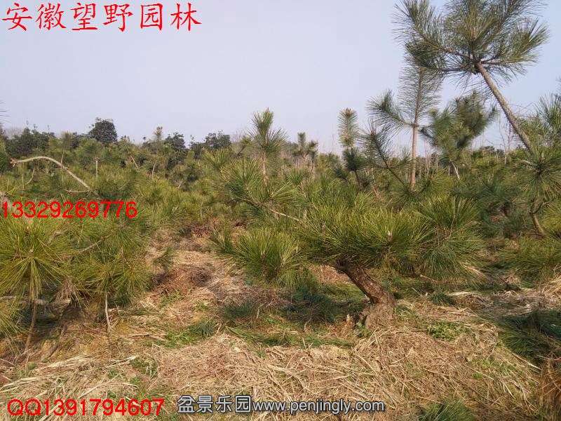 45C8122008E189271239BA675625EE15.jpg