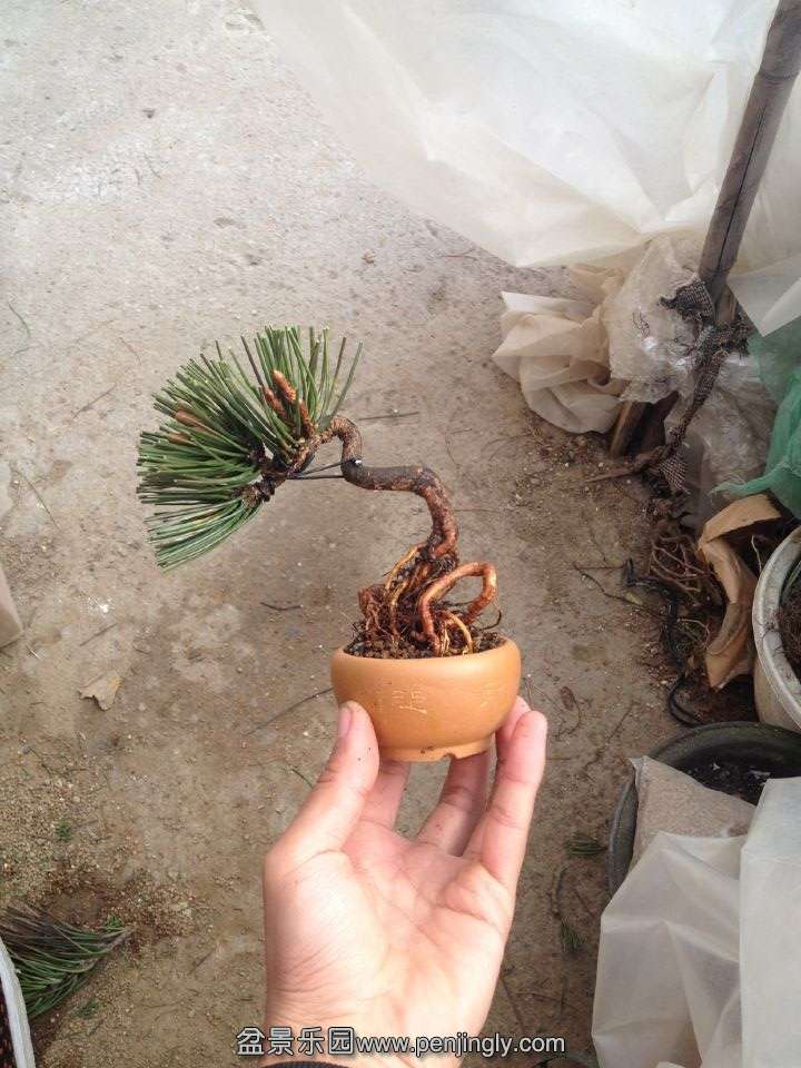 QQͼƬ20150123191150.jpg