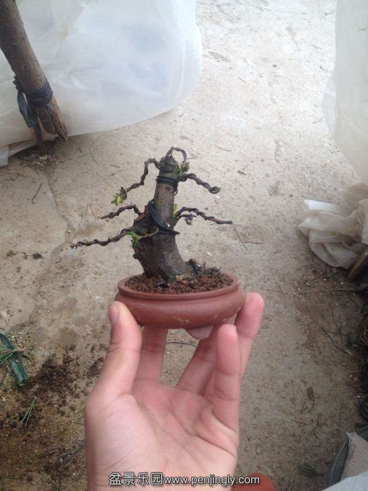 QQͼƬ20150124143513.jpg
