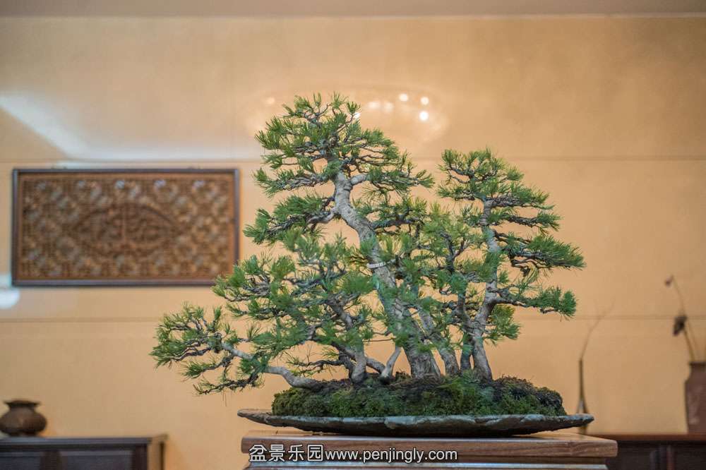 DSC_5908.jpg