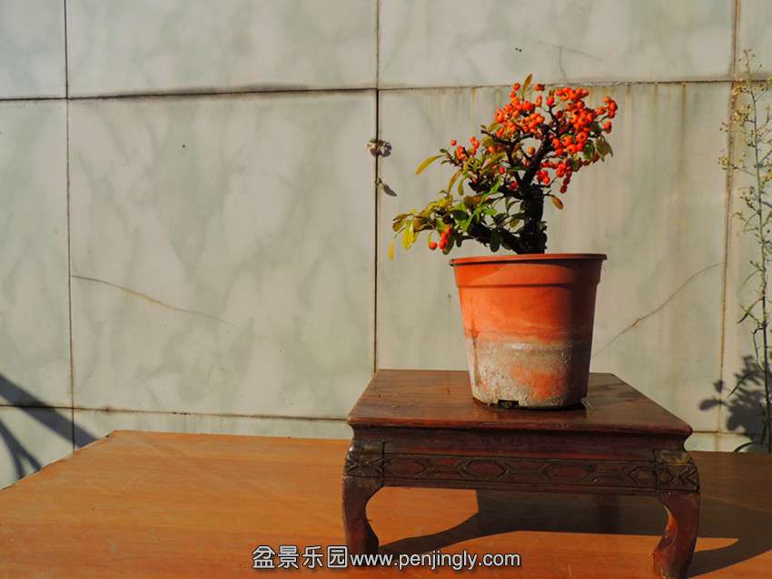 DSCN6077_.jpg