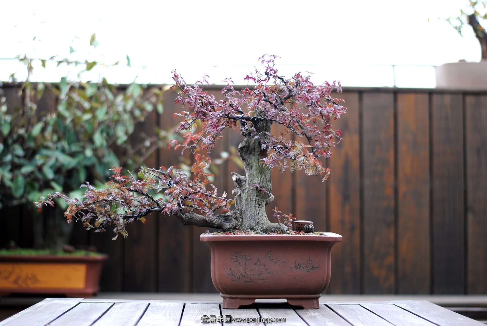 DSC_3987.JPG