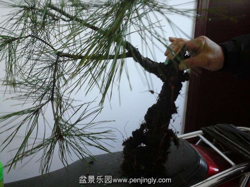 20141218_094411_.jpg