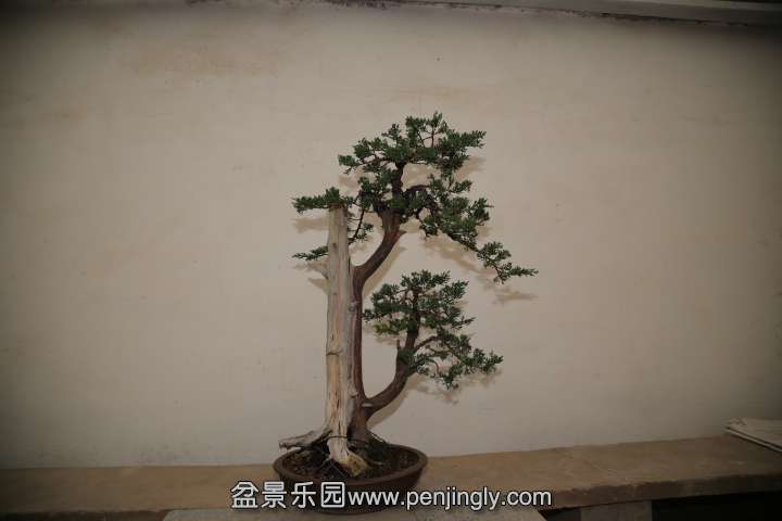 IMG_1495.JPG