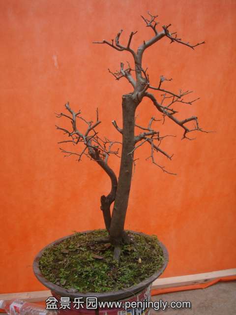 DSC05963.JPG