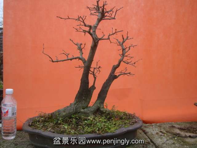 DSC05997.JPG