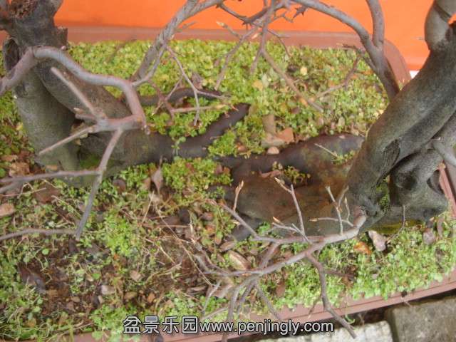 DSC05978.JPG