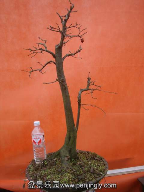 DSC05980.JPG