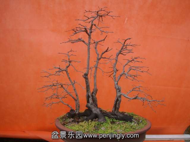 DSC05982.JPG