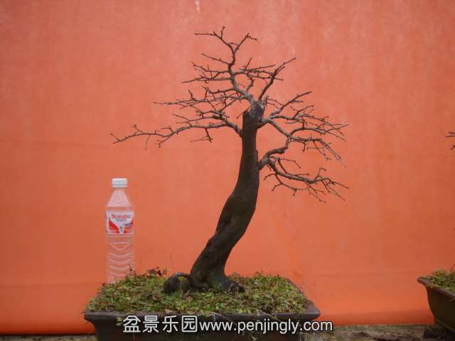 DSC05990.JPG