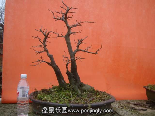 DSC05996.JPG