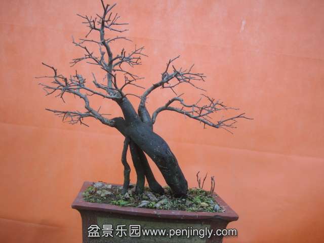 DSC06015.JPG