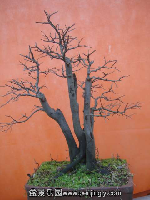 DSC06011.JPG