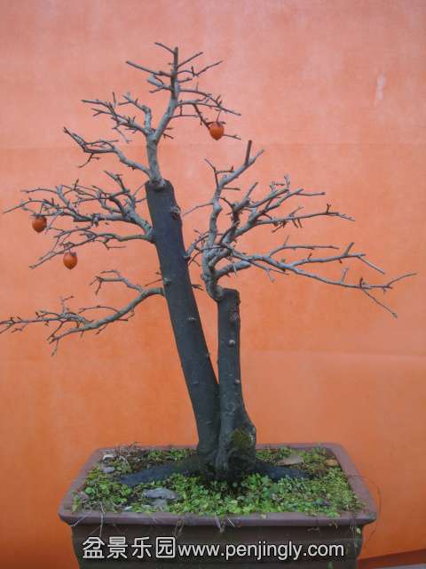 DSC06013.JPG