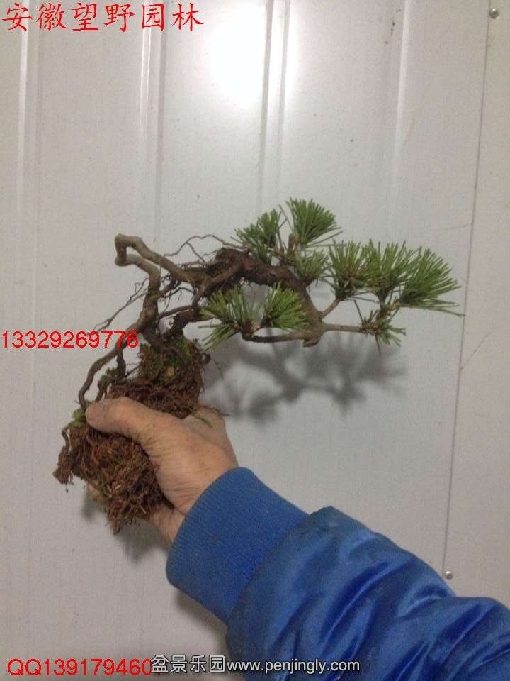 E19012C3B40AE98525040485F8234A47.jpg