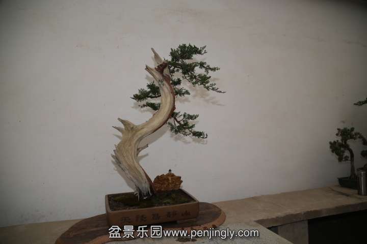 IMG_1520.JPG