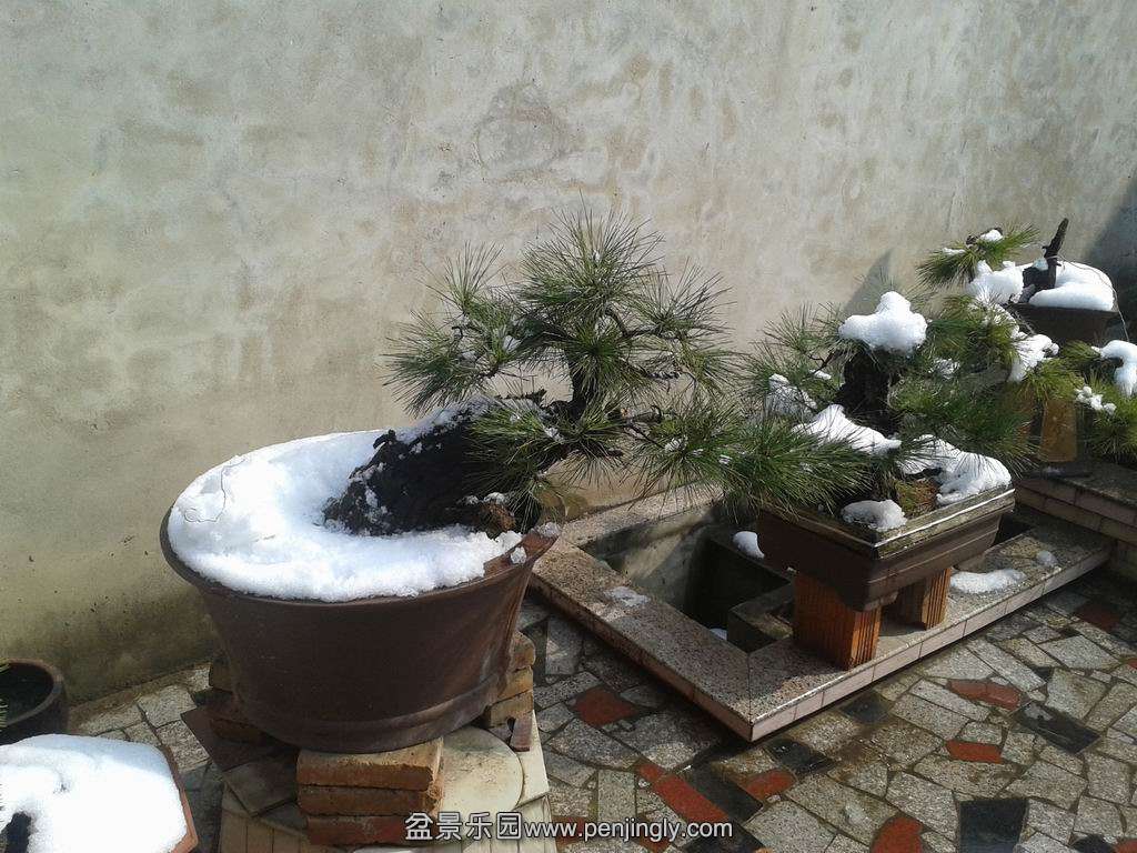 20150130_124544.jpg