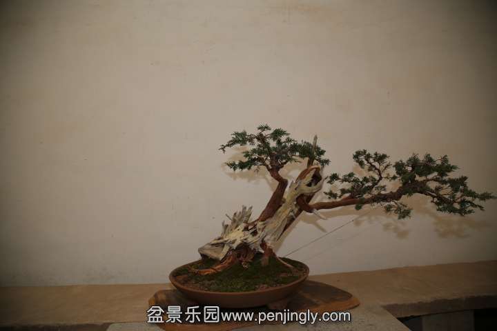 IMG_1556.JPG