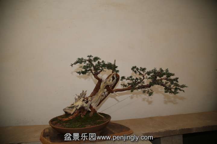 IMG_1555.JPG