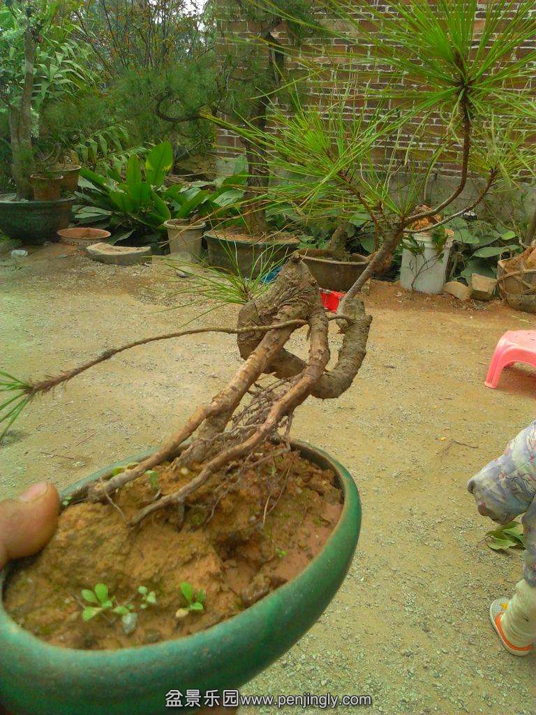 YP20150129105154.jpeg