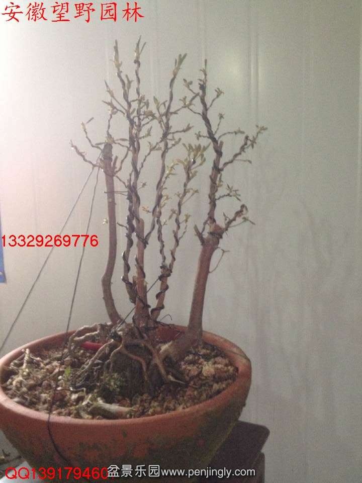 87F549C0861761A99CA5711CD07CB1B2.jpg
