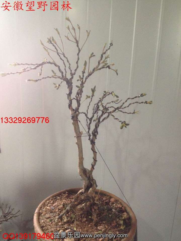 897CF0342A5FDBE28C0E248CC44A0B00.jpg
