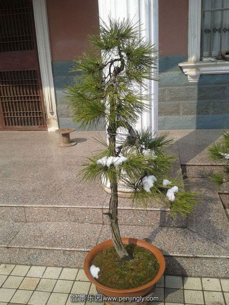 20150130_124110.jpg
