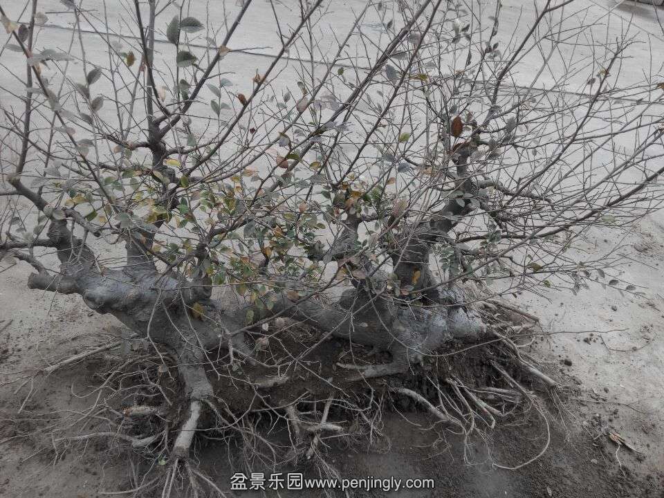 QQͼƬ20150203154611.jpg