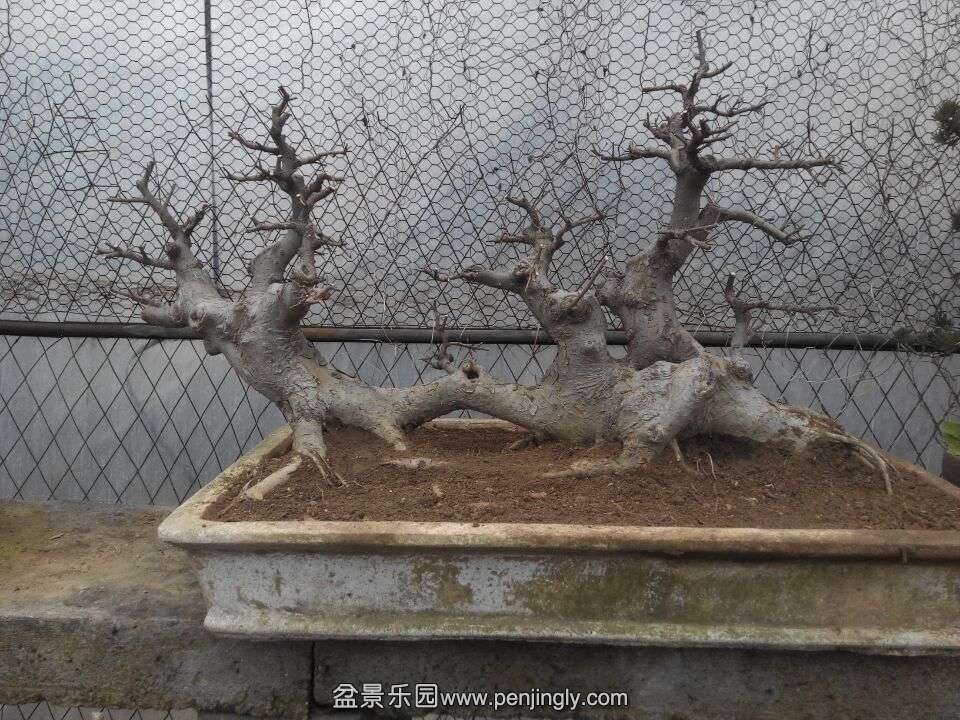 QQͼƬ20150203154621.jpg