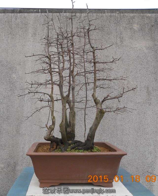 21ѻ׮1.jpg