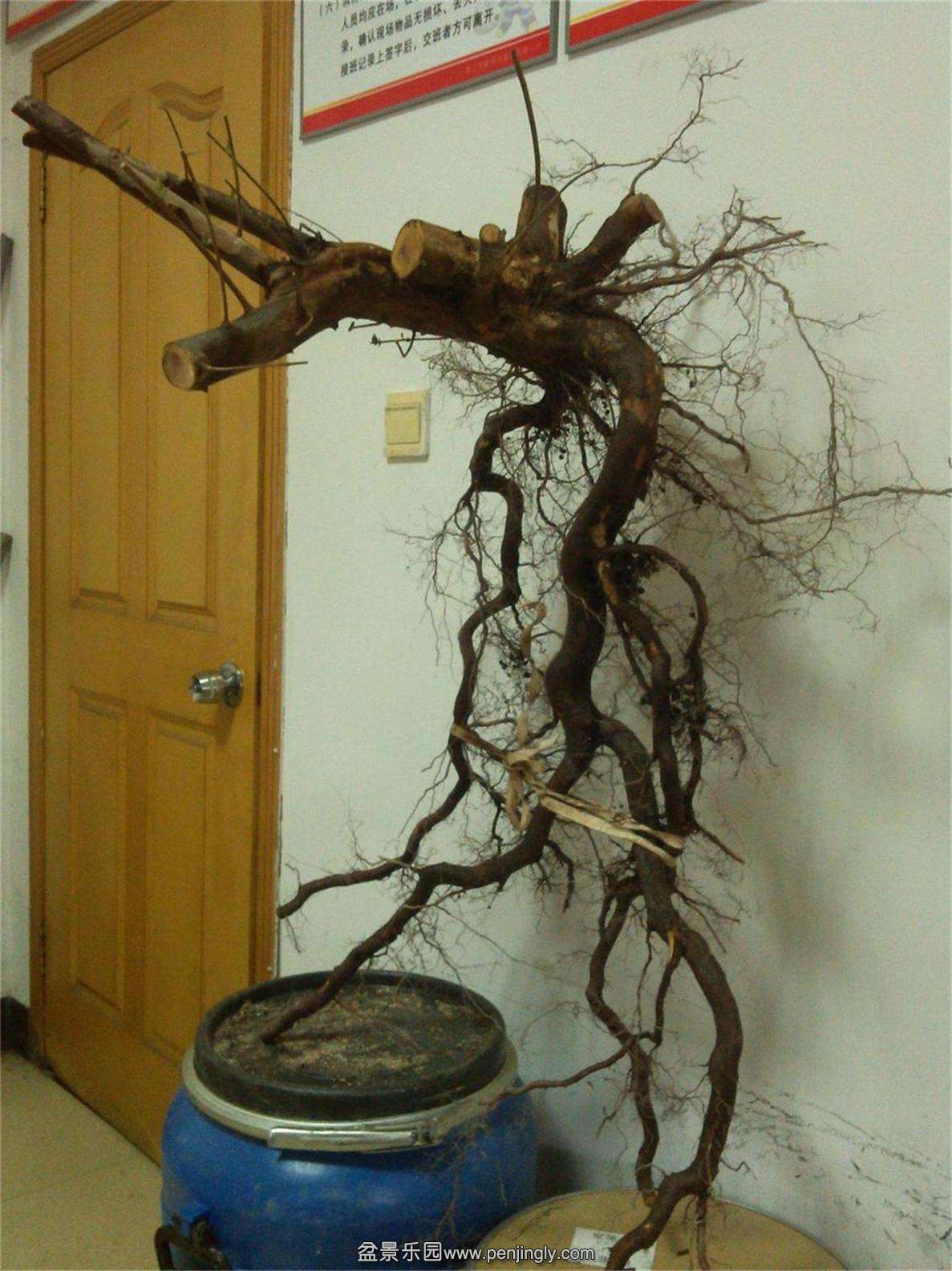 ȸ÷׮142IMG_20150203_121814.jpg