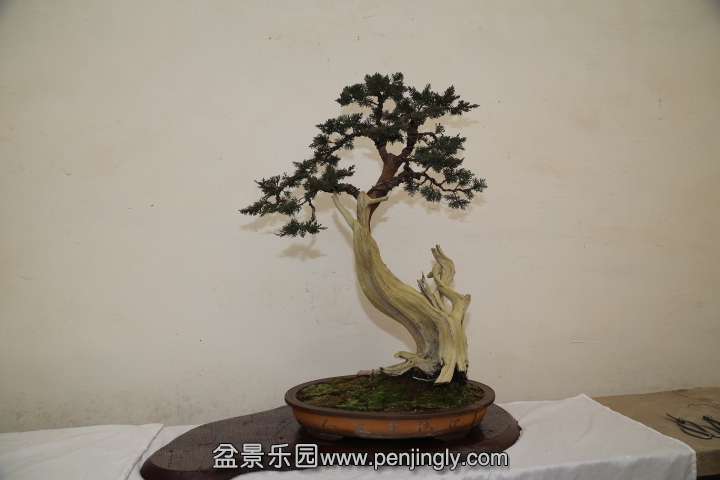 IMG_1581.JPG