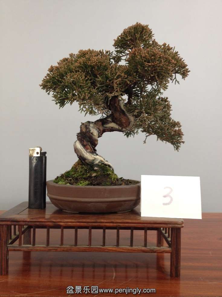 3ǧ