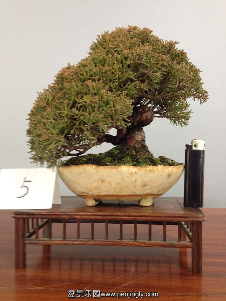 2ǧ5
