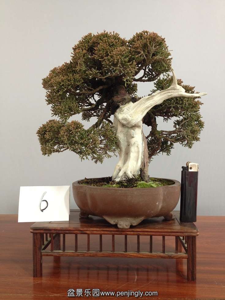 4ǧ