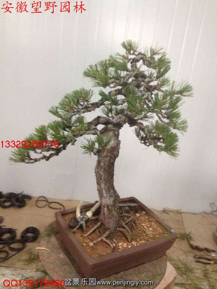B6F8E177F0EA3BC6EDCE34D84AC0F102.jpg