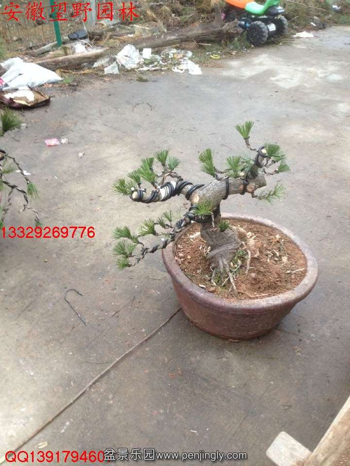 051C2B43F0807CC288074692EF04BF29.jpg