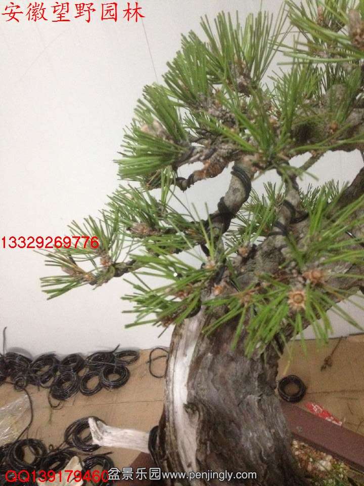 520621C8F9E53048BDE5FF7604848355.jpg